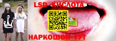ПСИЛОЦИБИНОВЫЕ ГРИБЫ Гулькевичи