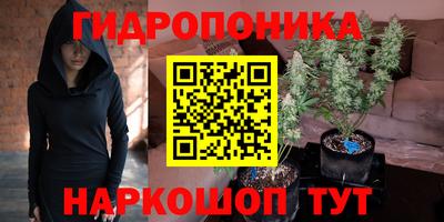 ПСИЛОЦИБИНОВЫЕ ГРИБЫ Гулькевичи
