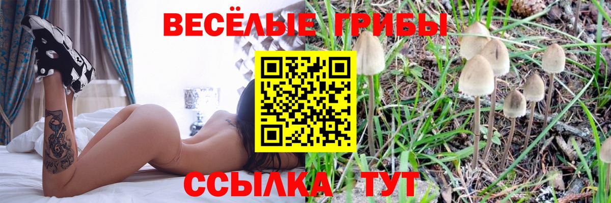 Обнинск  Галлюциногенные грибы MAGIC MUSHROOMS  Вход с VPN  Псилоцибиновые грибы прущие грибы 